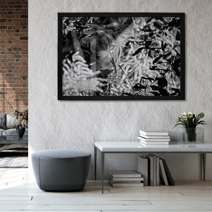 Composite Framed Canvas 100x150 LIONESS BLACK & WHITE