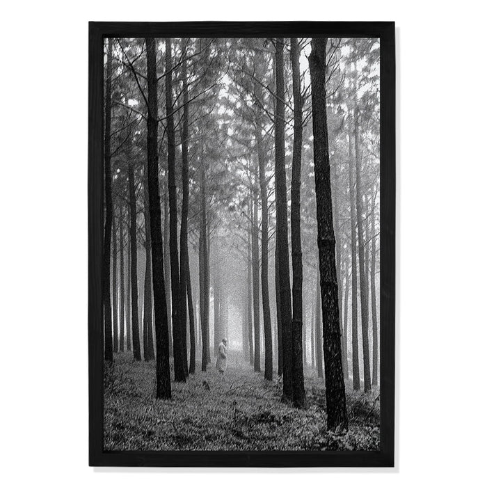 Composite Framed Canvas 100x150 TREE PLANTATION BLACK & WHITE