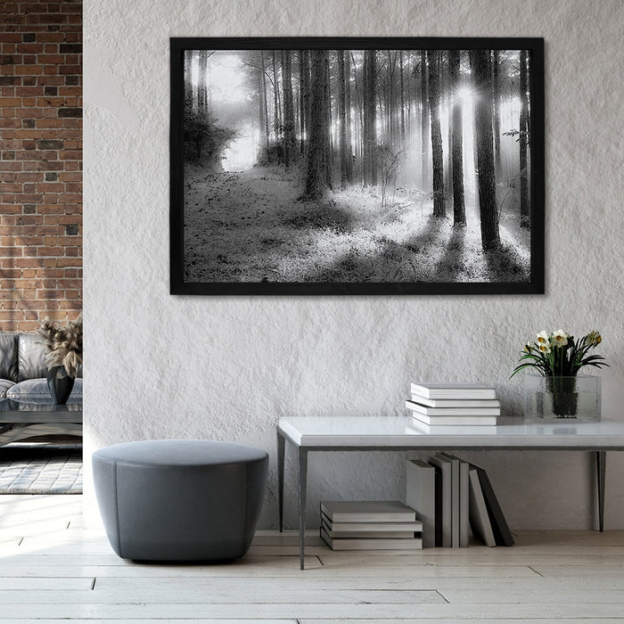 Composite Framed Canvas 100x150 WOOD TREES BLACK & WHITE