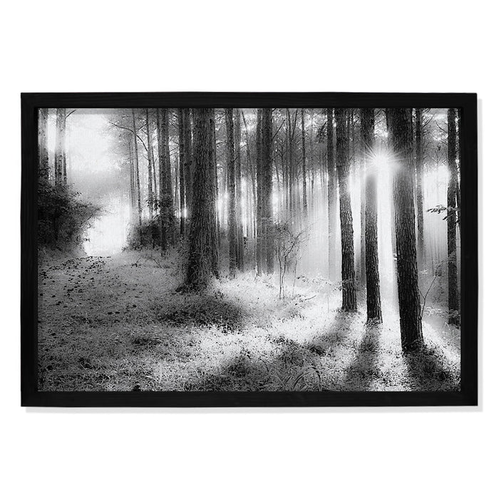 Composite Framed Canvas 100x150 WOOD TREES BLACK & WHITE