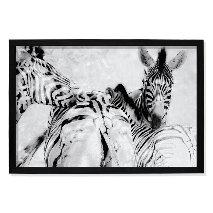 Composite Framed Canvas 100x150 ZEBRA BLACK AND WHITE