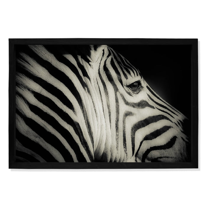 Composite Framed Canvas 100x150 ZEBRA