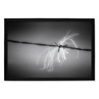Composite Framed Canvas 100x150 BARBED WIRE