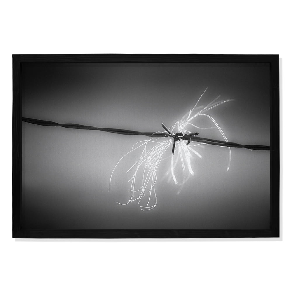 Composite Framed Canvas 100x150 BARBED WIRE