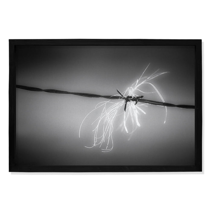 Composite Framed Canvas 100x150 BARBED WIRE