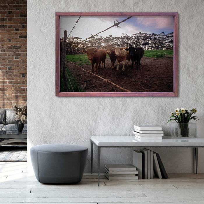 Composite Framed Canvas 100x150 COWS FENCE