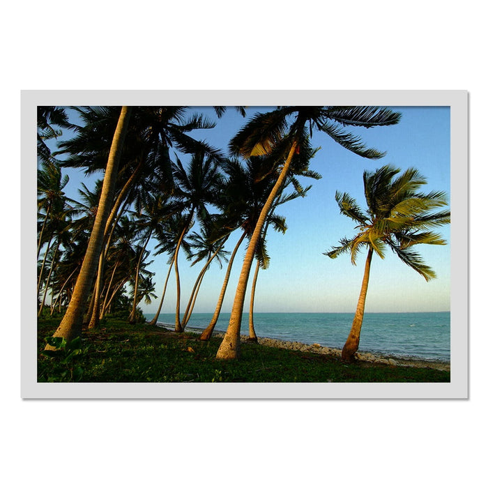 Composite Framed Canvas 100x150 PALM TREES