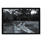 Composite Framed Canvas 100x150 LION TRIBE