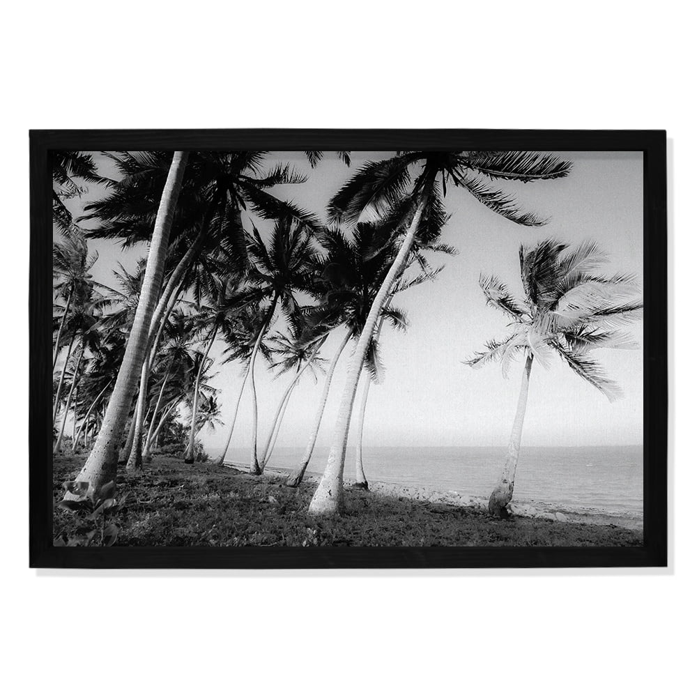 Composite Framed Canvas 100x150 PALM TREES