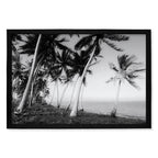 Composite Framed Canvas 100x150 PALM TREES