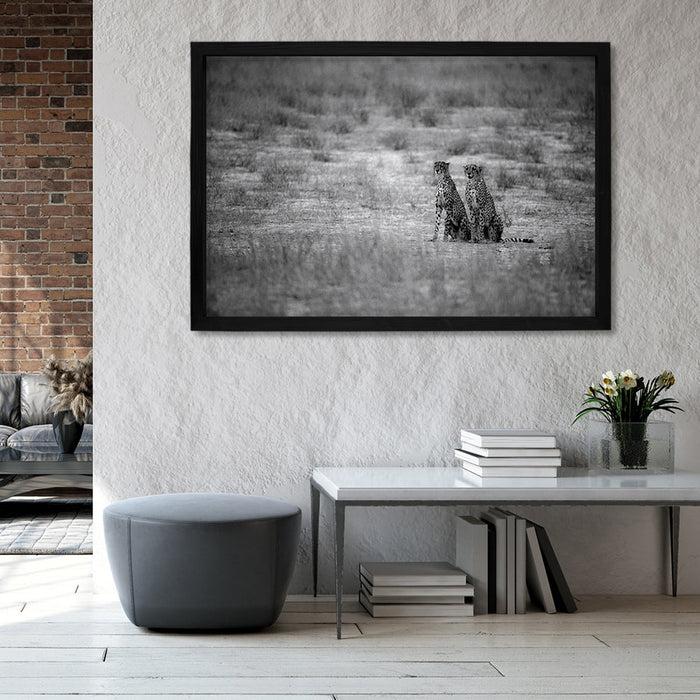 Composite Framed Canvas 100x150 CHEETAHS IN BLACK & WHITE