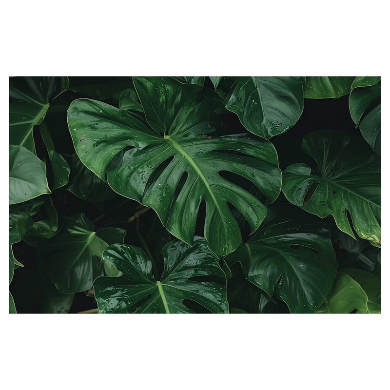 JUNGLE VIBES BATHMAT