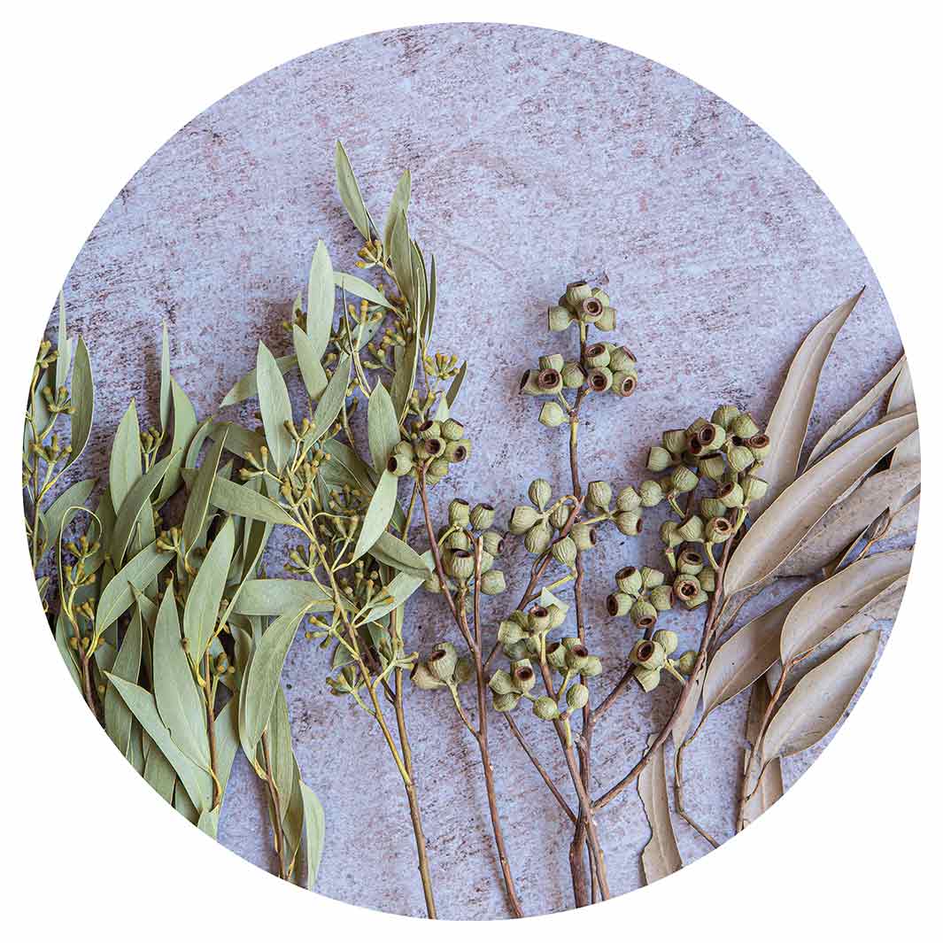 LEAVES BROWN NATURAL AMBERNUTS WITH GREEN FOLIAGE ROUND COFFEE TABLE