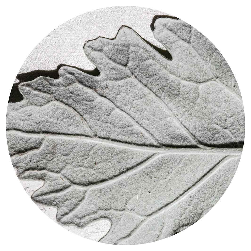 LEAVES GREY MONOCHROME LEAF ROUND COFFEE TABLE