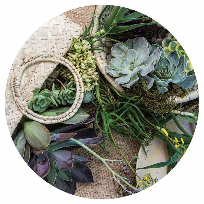 NATURAL GREEN ALOE BOUQUET IN BASKET ON HESSIAN ROUND COFFEE TABLE