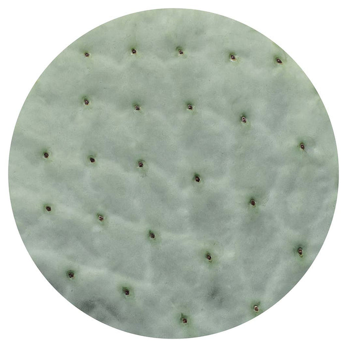 NATURAL GREEN PRICKLY PEAR LEAF ROUND COFFEE TABLE