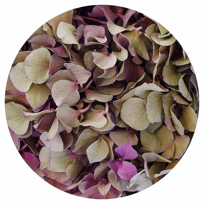 HYDRANGEA DEEP FLORAL TONES ROUND COFFEE TABLE