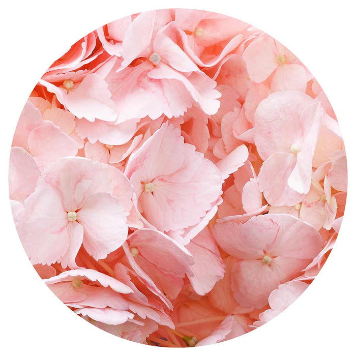 HYDRANGEA SOFT PINK ROUND COFFEE TABLE