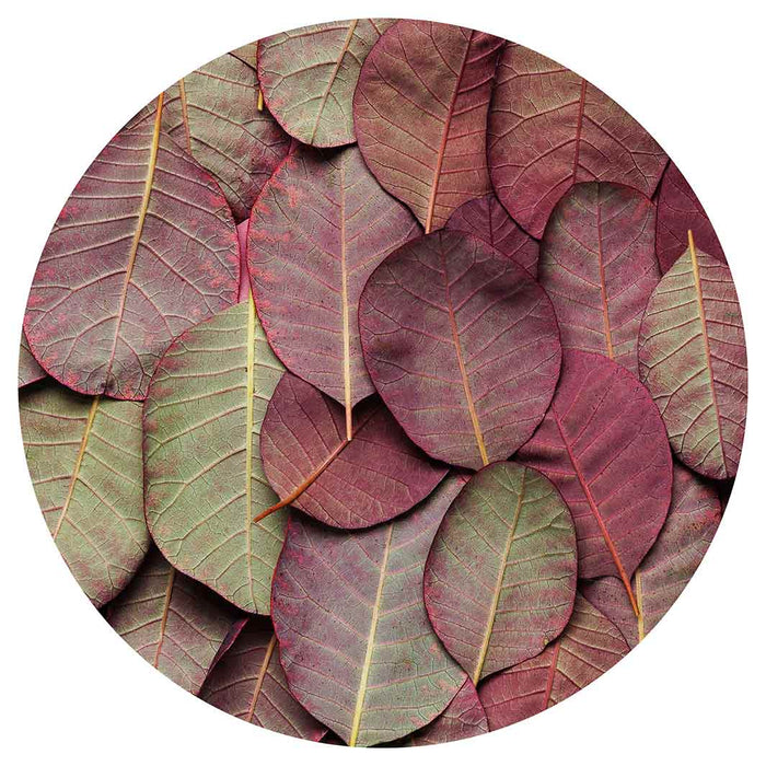 LEAF ARRANGEMENT DARK MAUVE AND GREEN ROUND COFFEE TABLE