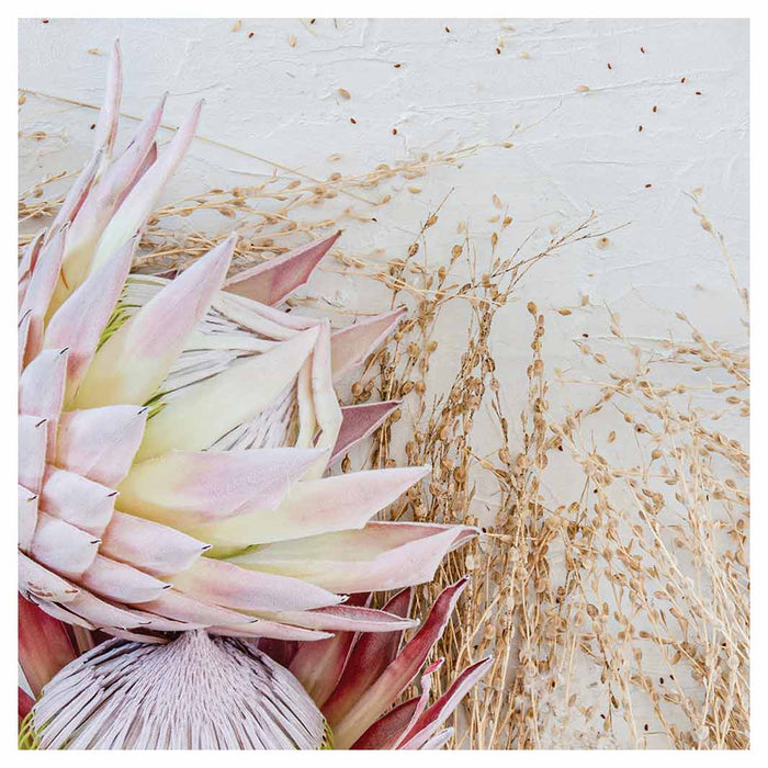 FLORAL PINK GRASSY PROTEA SQUARE COFFEE TABLE