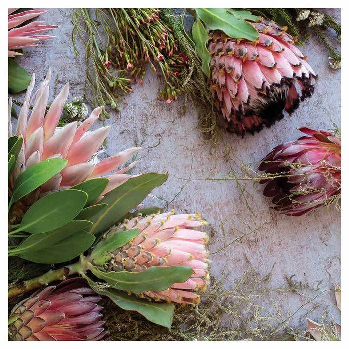 FLORAL PINK MIXED KING PROTEAS SQUARE COFFEE TABLE