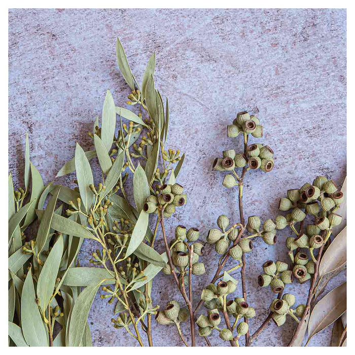 LEAVES BROWN NATURAL AMBERNUTS WITH GREEN FOLIAGE SQUARE COFFEE TABLE