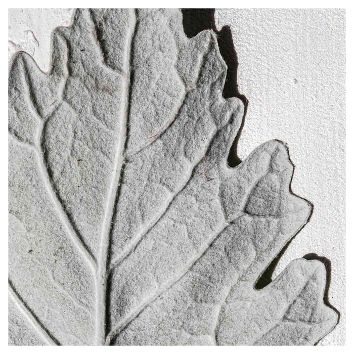 LEAVES GREY MONOCHROME LEAF SQUARE COFFEE TABLE