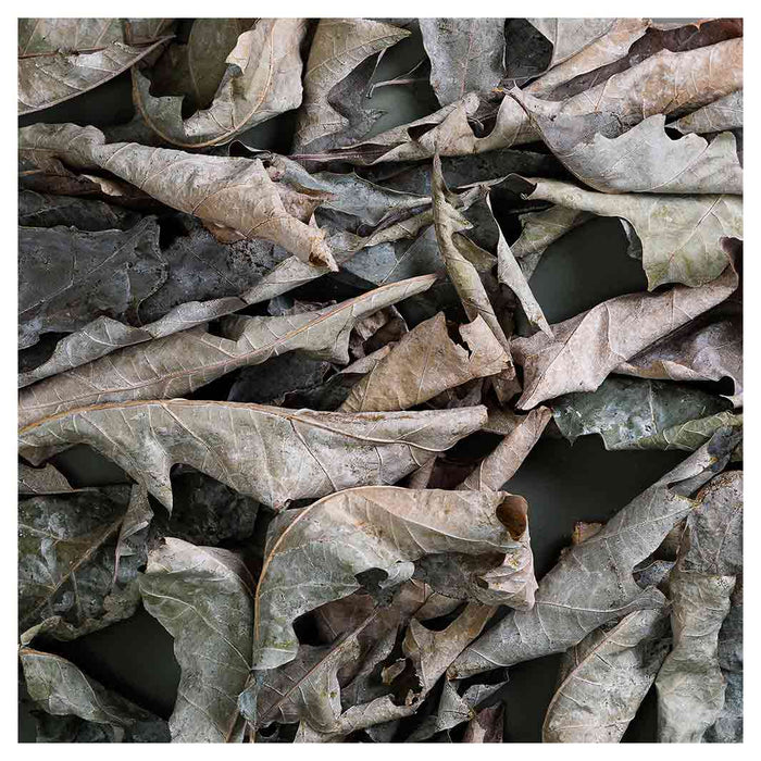 MONOCHROMATIC GREY GREEN LEAVES SQUARE COFFEE TABLE