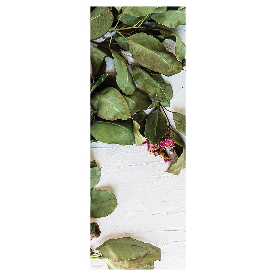 LEAVES GREEN BOTANICAL WITH PINK BLOSSOM DECK CHAIR