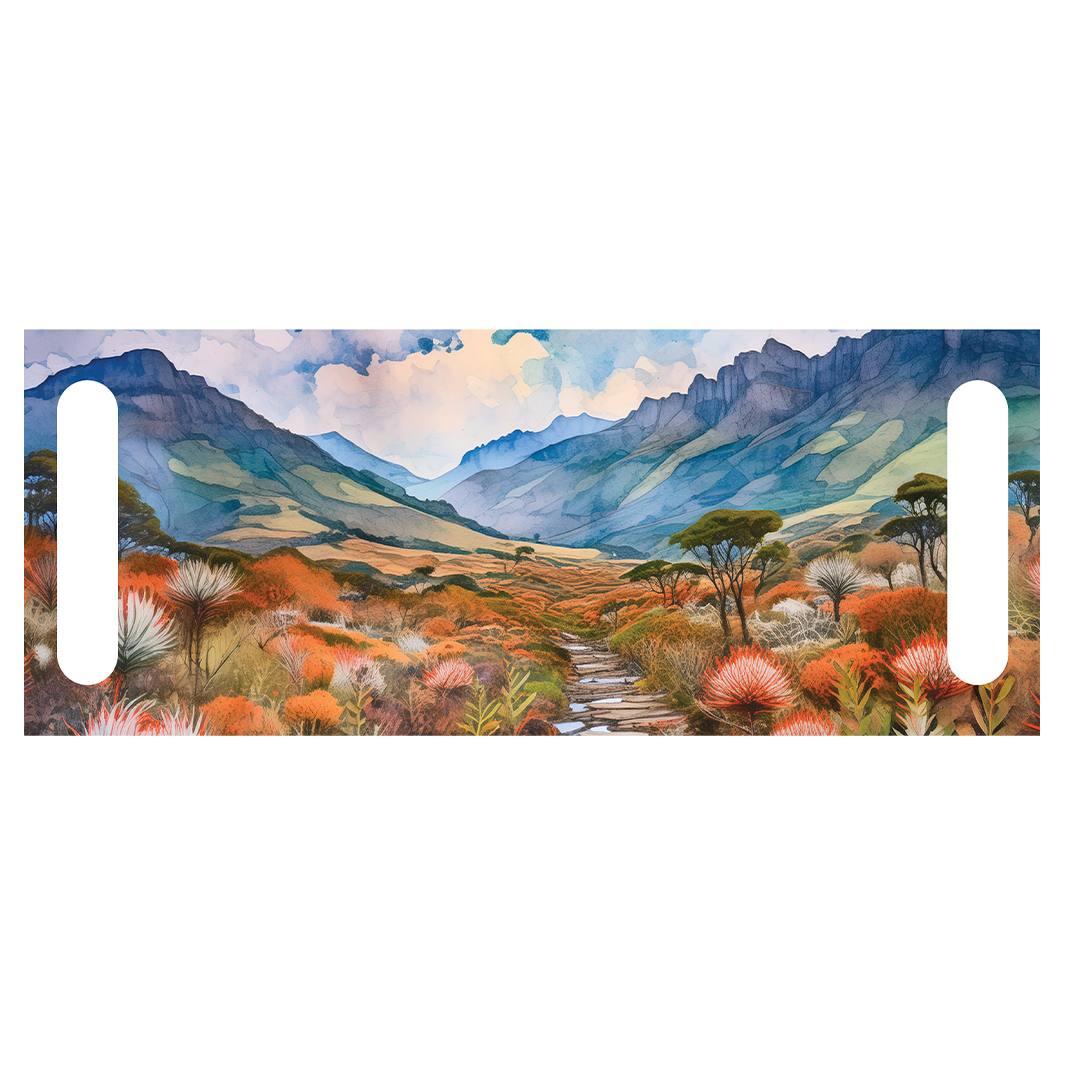 DUAL PURPOSE BOARDS MOUNTAIN PATH THROUGH FYNBOS