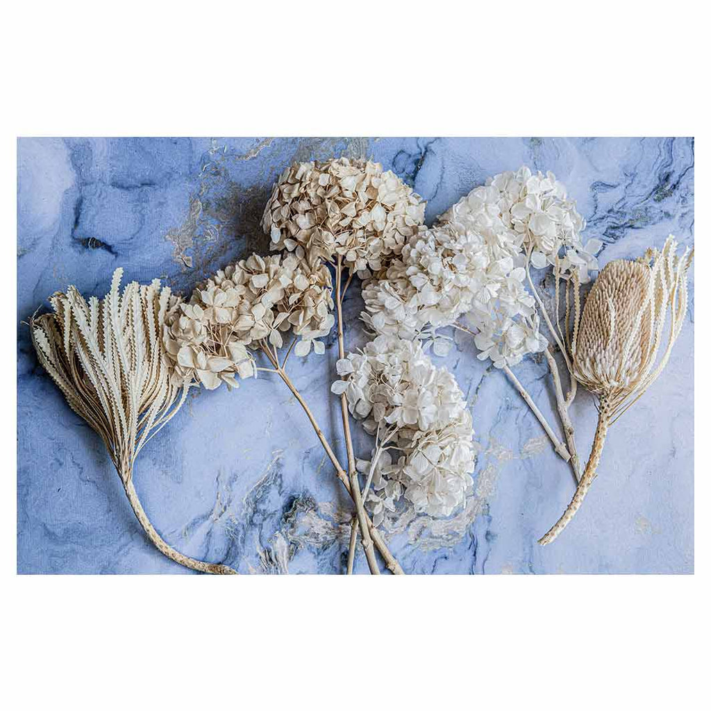 FLORAL CREAM BLEACHED HYDRANGEAS ON BLUE BATHMAT