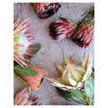 FLORAL PINK MIXED KING PROTEAS FLEECE BLANKET