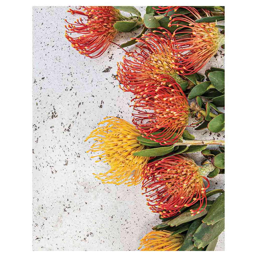 Products — Cape Rug, Home & Art