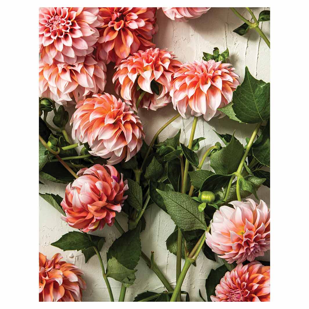 FLORAL ORANGE SCATTERED DAHLIAS WITH LEAVES FLEECE BLANKET