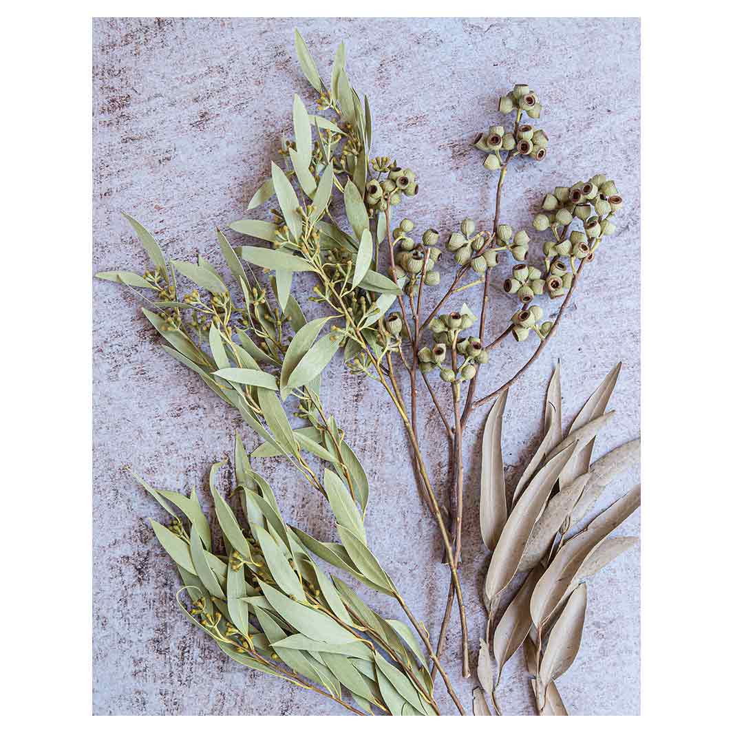 LEAVES BROWN NATURAL AMBERNUTS WITH GREEN FOLIAGE FLEECE BLANKET