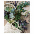 NATURAL GREEN ALOE BOUQUET IN BASKET ON HESSIAN FLEECE BLANKET