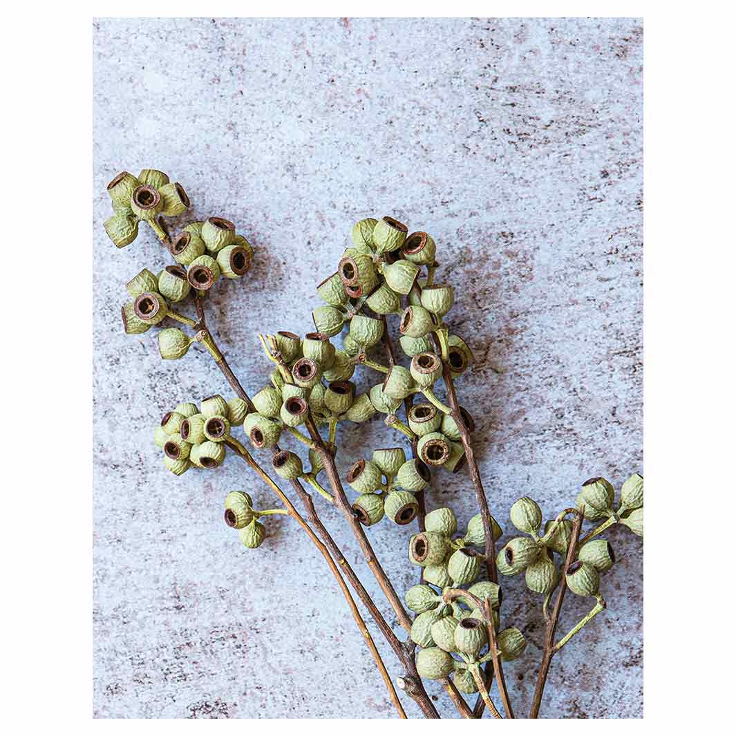 NATURAL GREEN NATURAL AMBERNUTS FLEECE BLANKET