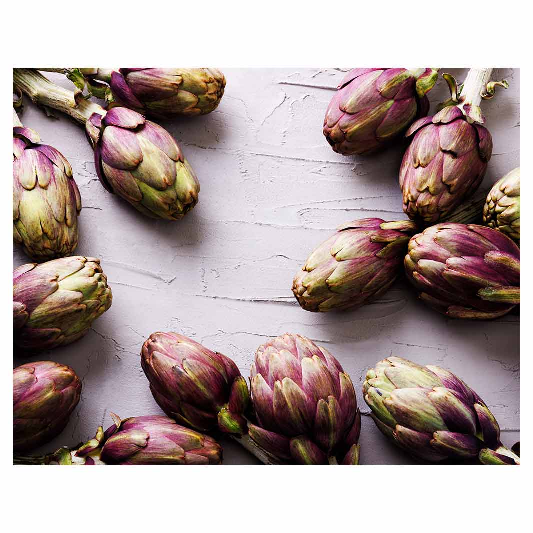 ARTICHOKE DARK PURPLE ON GREY FLEECE BLANKET