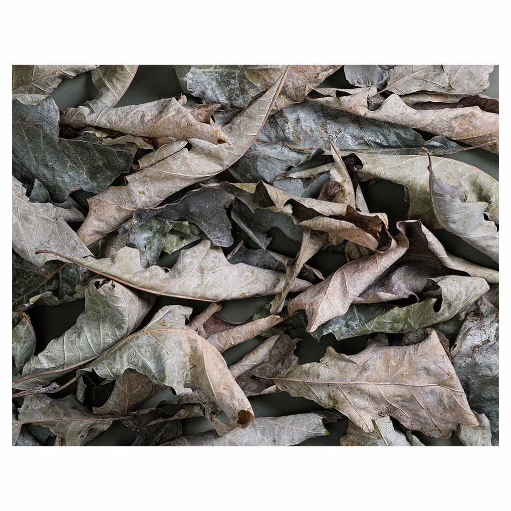 MONOCHROMATIC GREY GREEN LEAVES FLEECE BLANKET