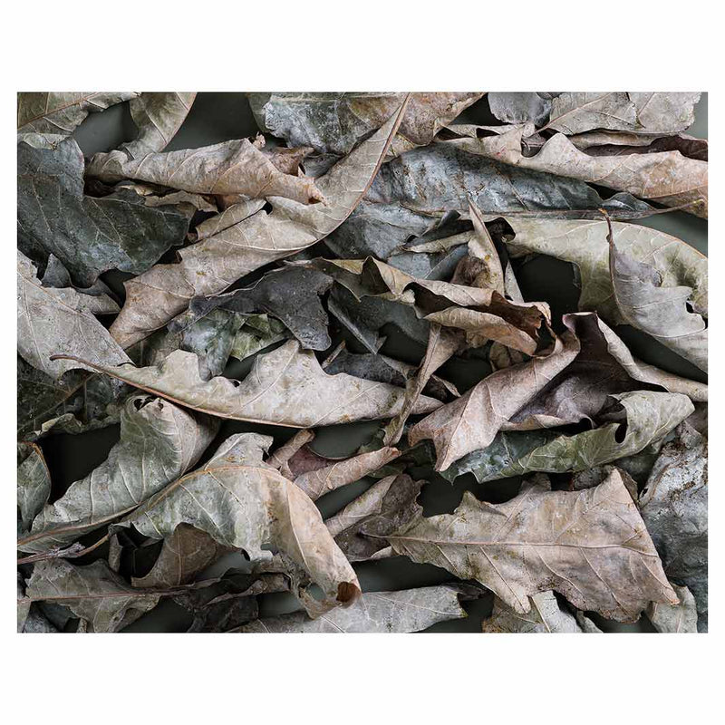 MONOCHROMATIC GREY GREEN LEAVES FLEECE BLANKET