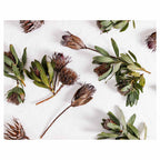 SCATTERED DRIED PROTEA WITH GREEN LEAVES FLEECE BLANKET
