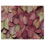 LEAF ARRANGEMENT DARK MAUVE AND GREEN FLEECE BLANKET