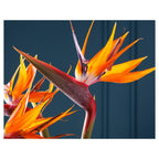 STRELITZIA TRIO ON RICH BLUE FLEECE BLANKET