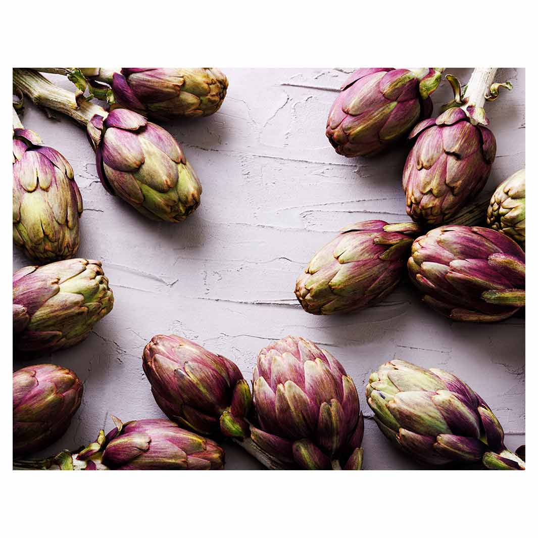 ARTICHOKE DARK PURPLE ON GREY FLEECE BLANKET