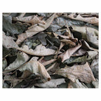 MONOCHROMATIC GREY GREEN LEAVES FLEECE BLANKET