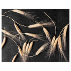 SCATTERED WHEAT ON BLACK FLEECE BLANKET