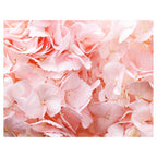 HYDRANGEA SOFT PINK FLEECE BLANKET
