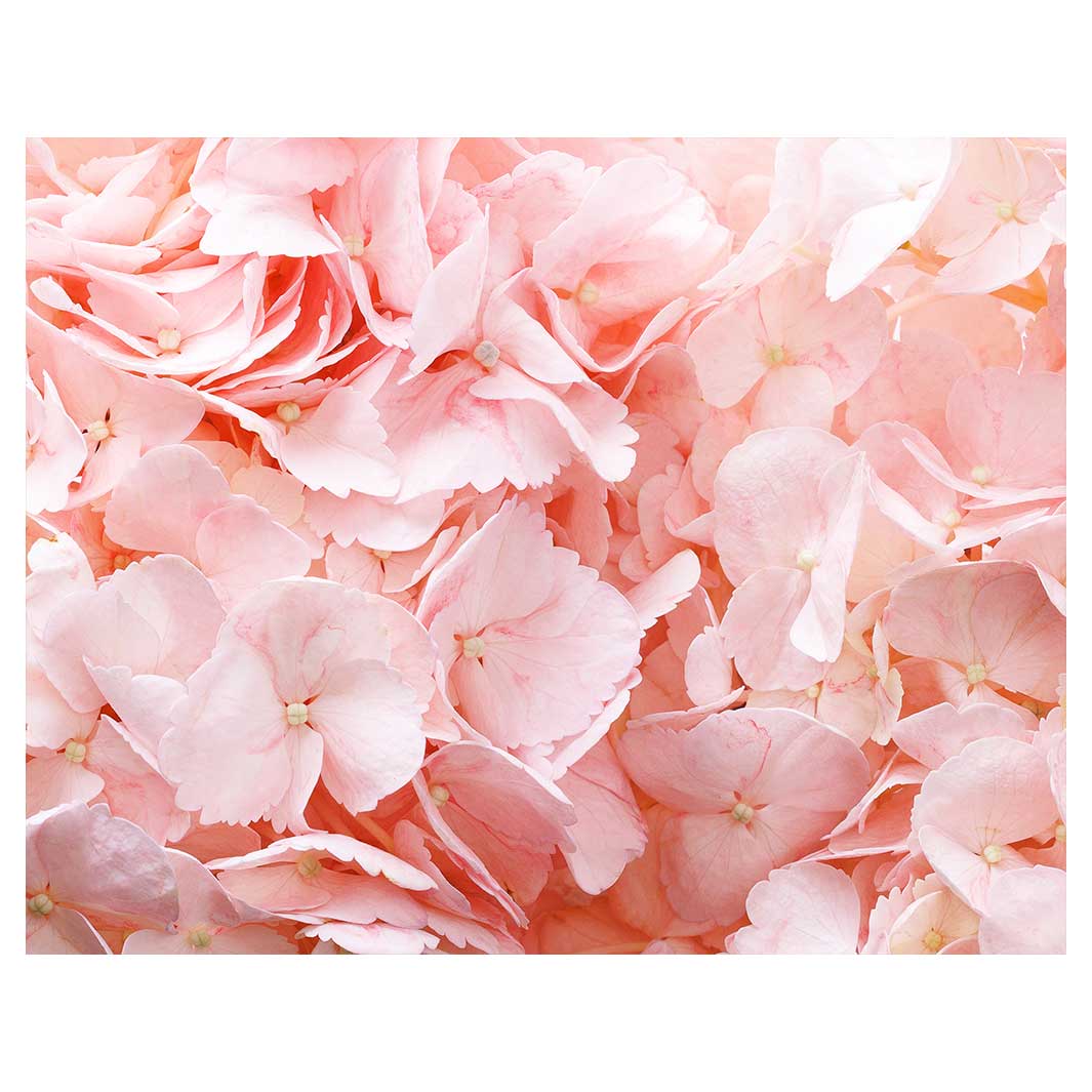 HYDRANGEA SOFT PINK FLEECE BLANKET