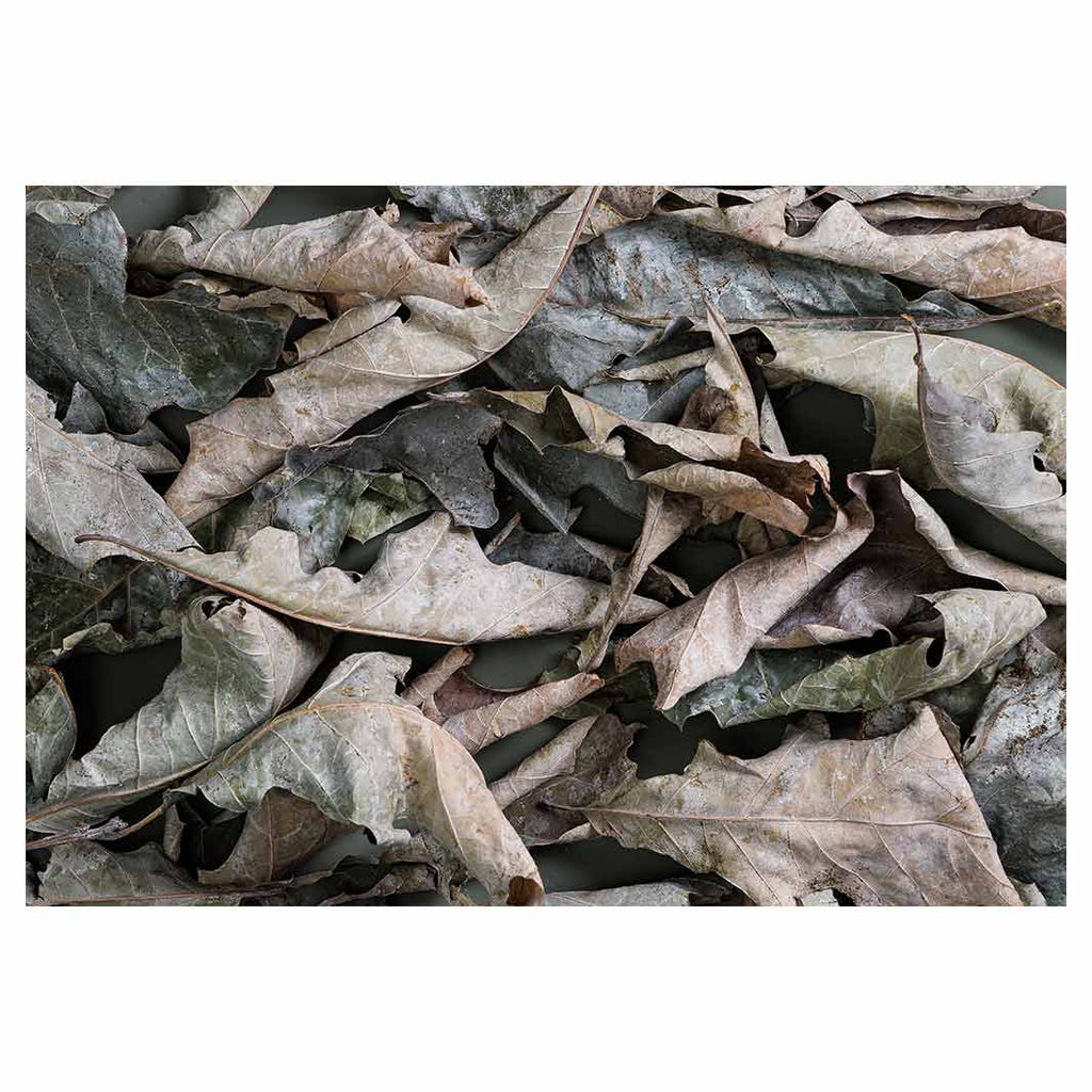 MONOCHROMATIC GREY GREEN LEAVES FLEECE BLANKET