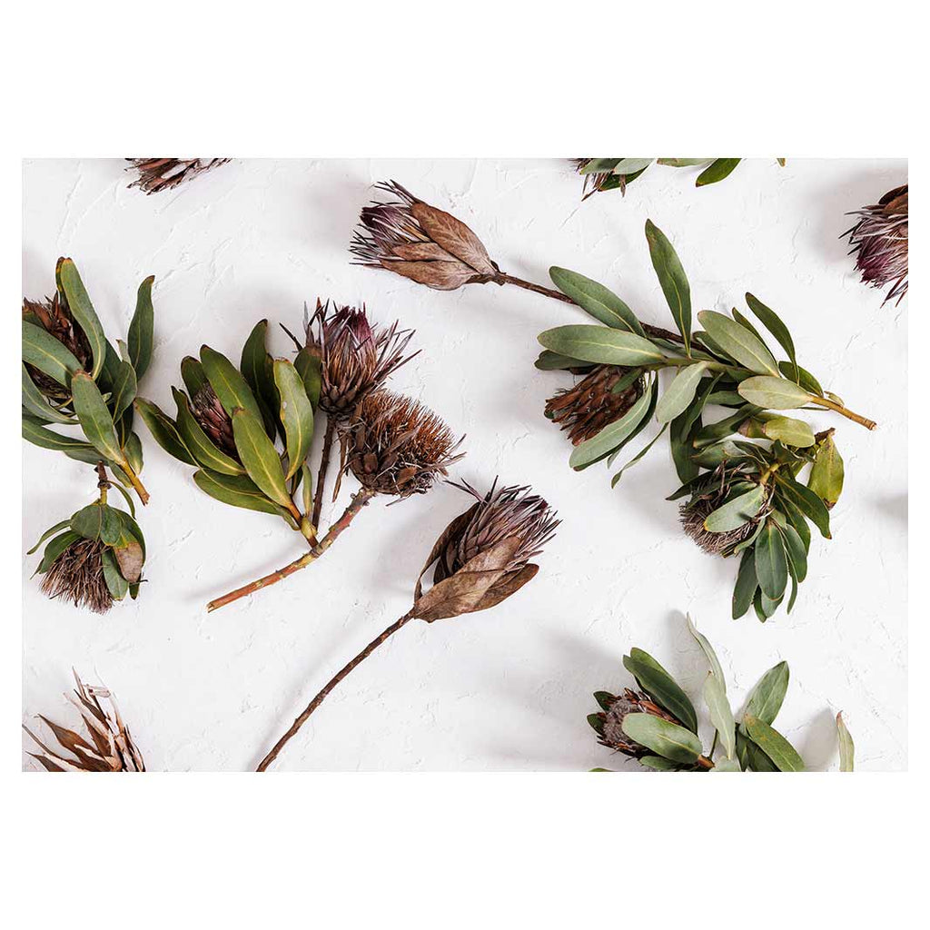 SCATTERED DRIED PROTEA WITH GREEN LEAVES FLEECE BLANKET